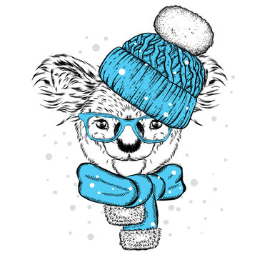 Fun koala in hat and scarf. Vector illustration for postcard or poster, print on clothes. New Year and Christmas, winter. Very cute cub.