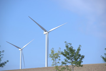 windmill