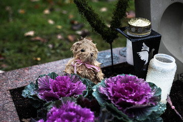 A wet teddy bear is sitting on the grave of a young child in the rain. 
