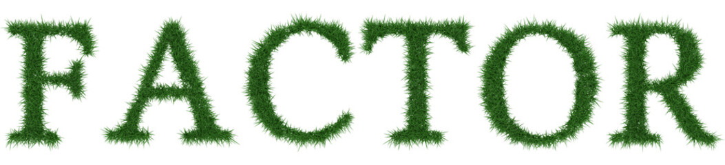 Factor - 3D rendering fresh Grass letters isolated on whhite background.