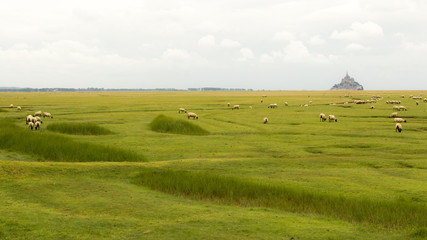 the Mont Saint Michel