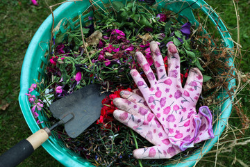 A green plastic garden basket with garden waste, a trowel and gloves.