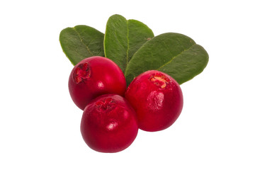Cranberries with leafs on a white background