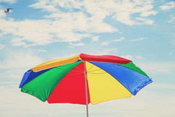 Beach Umbrella with a seagull