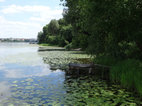 lake nature