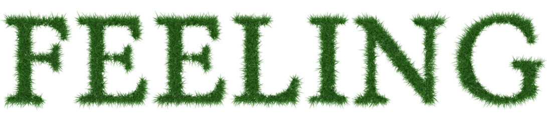 Feeling - 3D rendering fresh Grass letters isolated on whhite background.