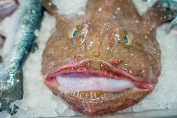 Fresh fish over a pile of ice, on harbour in Port d Andratx on Mallorca, Spain