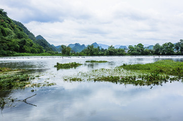 The river and countryside scenery in summer 