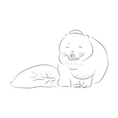 Polar Fox simple contour on white background, Arctic fox vector illustration