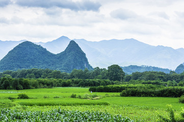 Obraz premium The countryside and mountains scenery in summer 