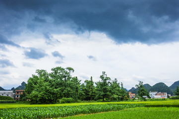 The countryside and mountains scenery in summer 