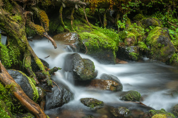 Obraz premium Mountain Creek