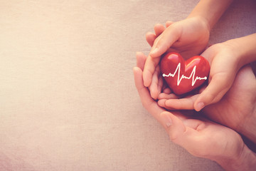 adult and child hands holding red heart with cardiogram, organ donor day, health care love and...