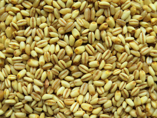 Closeup of Heap of raw wheat Background