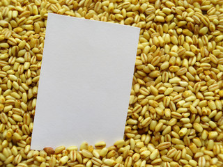 Closeup of White tag on Heap of raw wheat Background