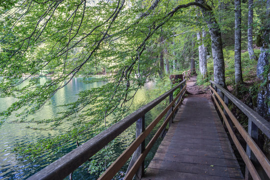 Br&uuml;cke neben einem See