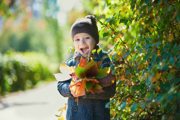 Happy child, boy, playing in the park, throwing leaves, playing with fallen leaves in autumn