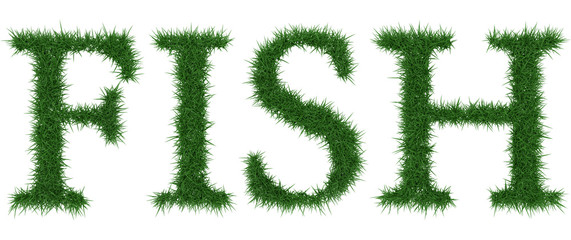 Fish - 3D rendering fresh Grass letters isolated on whhite background.
