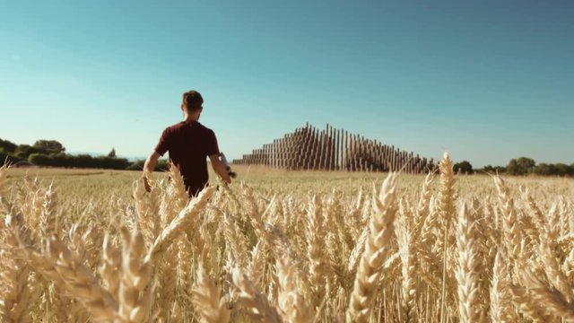 Adult standing in Beautiful wheat field towards modern pyramide raising skateboard with blue sky and epic sun light - shot on RED 4k Super Slow Motion