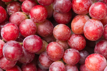 Red grapes in exits to sell in market place