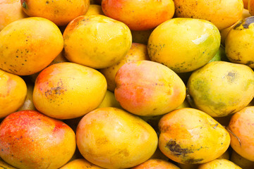 Pile of fresh mangoes ready to sell in supermarket - Mangifera indica