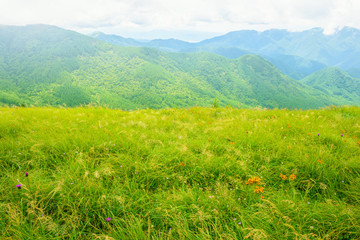 山の草原、長野県、美ヶ原高原。