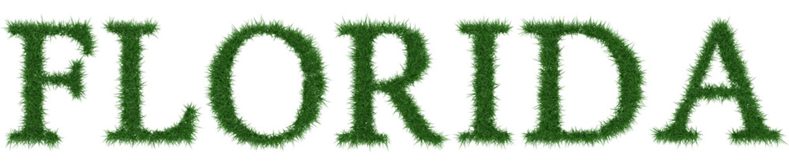 Florida - 3D rendering fresh Grass letters isolated on whhite background.