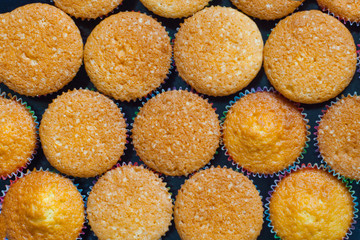 cupcake in paper container top view
