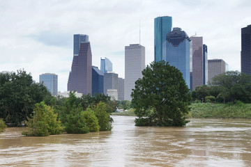 The consequences of the spill Buffalo Bayou River in Houston. Flooded park on Downtown city...