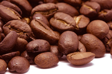 Coffee beans on white background
