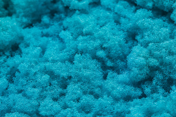 Sponge blue old look used for cleaning.

