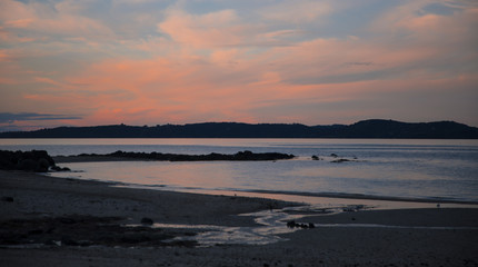 Fototapeta premium Nature