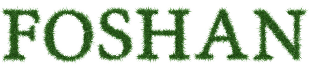 Foshan - 3D rendering fresh Grass letters isolated on whhite background.