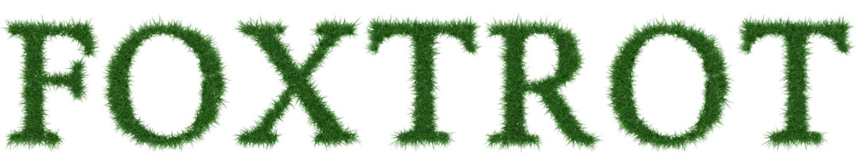Foxtrot - 3D rendering fresh Grass letters isolated on whhite background.