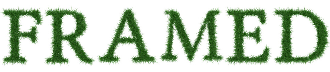 Framed - 3D rendering fresh Grass letters isolated on whhite background.