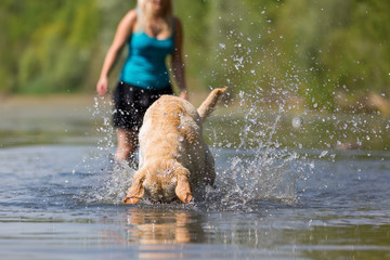 woman plays with her labrador retriever in a lake