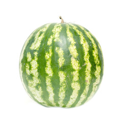 Green watermelon isolated on white background