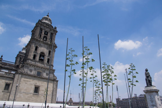 El cathedral de zocalo de Mexico city