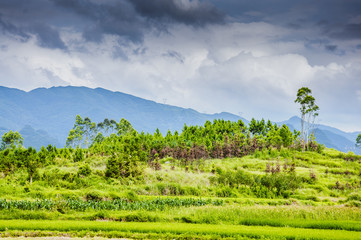 Obraz premium The countryside and mountains scenery in summer 