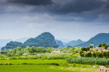 The countryside and mountains scenery in summer 