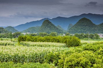 The countryside and mountains scenery in summer 