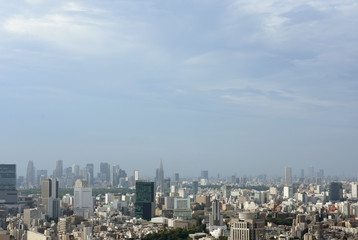 Fototapeta na wymiar 日本の東京都市景観「新宿や池袋の高層ビル群などを望む」