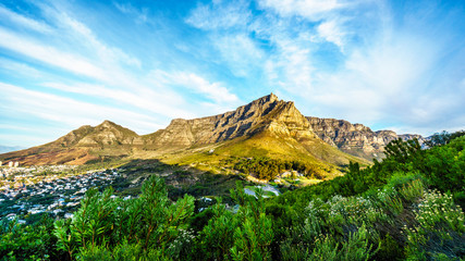 Naklejka premium View of Table Mountain, Devils Peak and the Twelve Apostles from the hiking trail to the top of Lions Head mountain near Cape Town South Africa on a nice winter day