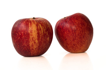 Two apples, side by side. Isolated on white background.