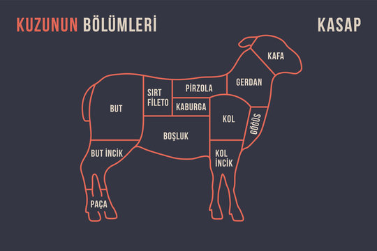 Meat cuts. Poster Butcher diagram and scheme - Lamb. Typographic with the names of parts of meat in Turkish. Graphic design for butcher shop, restaurant poster, banner and web. Vector Illustration