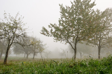 Herbstlandschaft, Ruhe, Stille Depression, Traurigkeit, herbstliche Melancholie :)