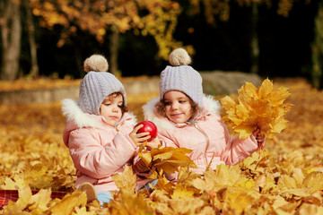 Two happy children in autumn clothes in the park. Little sister girls sitting on yellow leaves in nature.