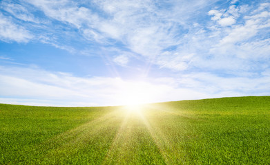Beautiful landscape with green field and sun rays