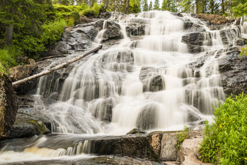 Fototapeta na wymiar Wasserfall Langzeitbelichtung Wald