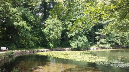 Bäume am See mit weißer Bank